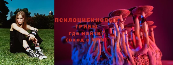 твердый Абаза